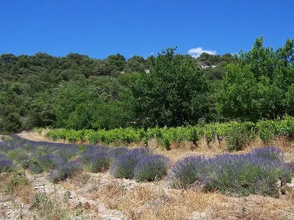 Dom L' Argo Apartamento Reillanne